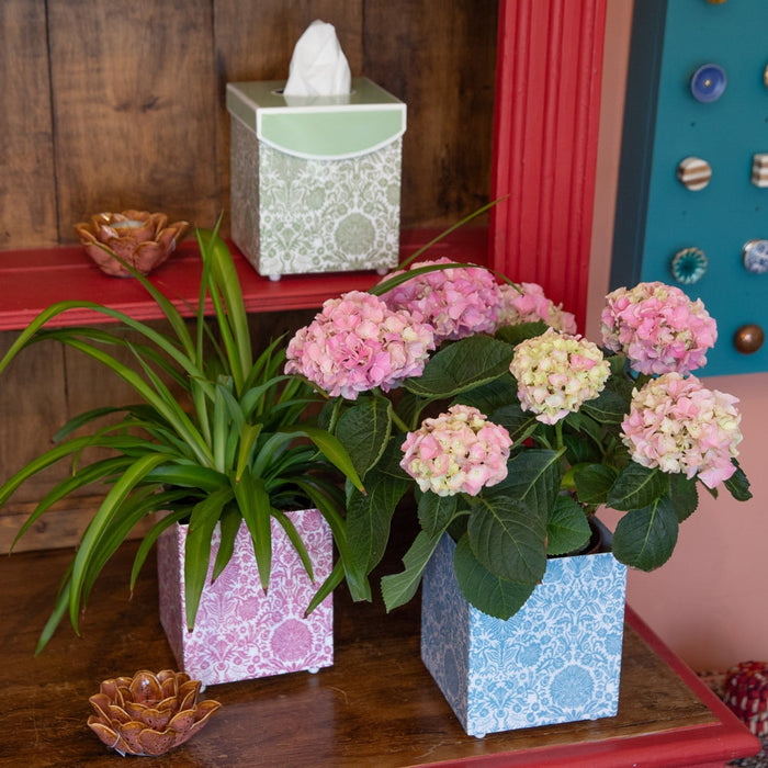 PLANTERS & TISSUE BOXES