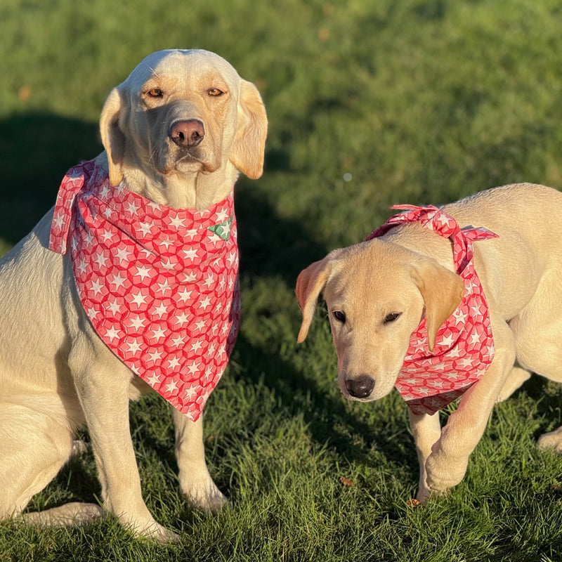 dog neckerchief, dog scarf, dog scarves, dog bandanas, pet accessories