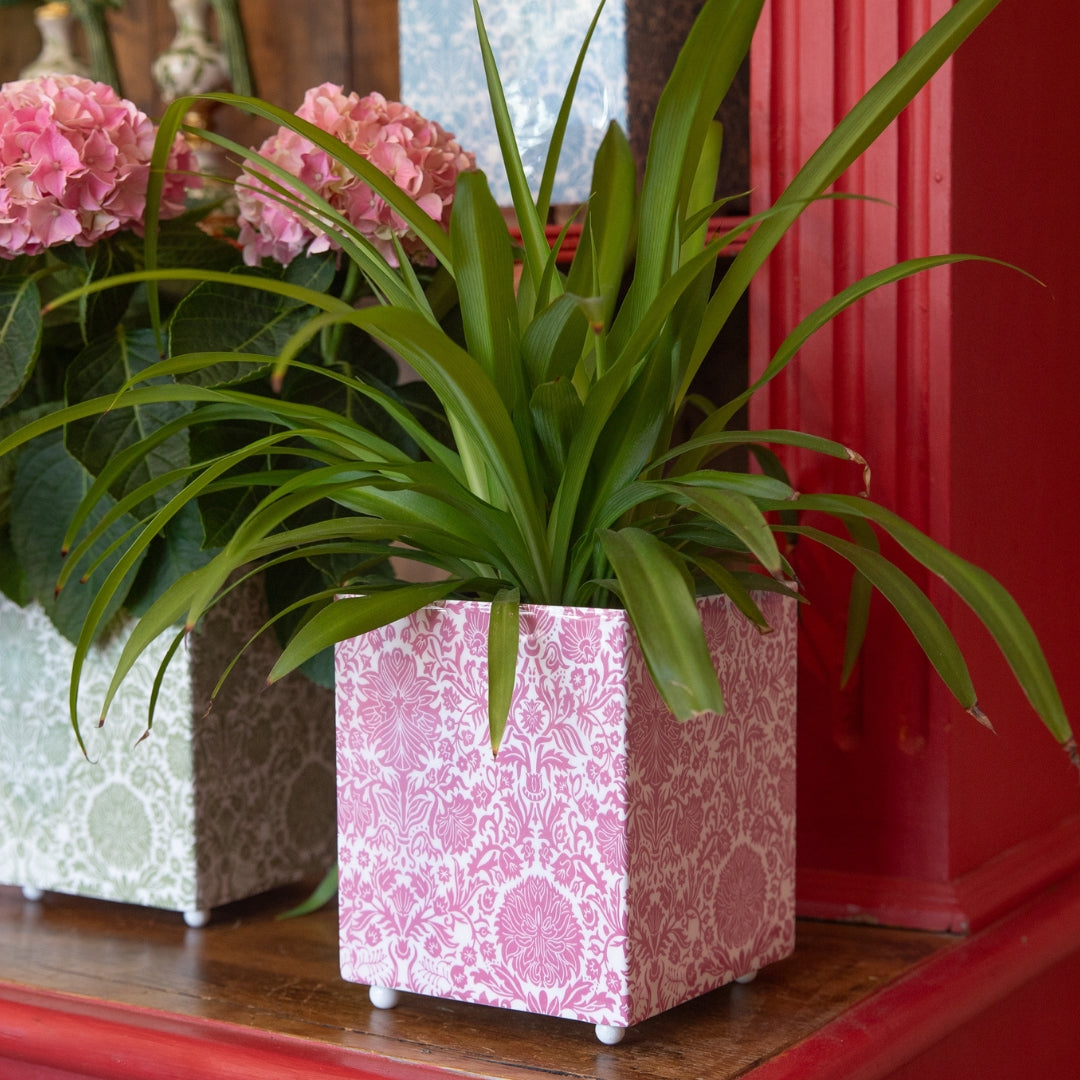 ENGLISH GARDEN Tissue Box Planter
