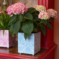 ENGLISH GARDEN Tissue Box Planter