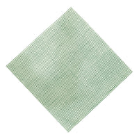 FOREST GREEN Striped Blockprint Napkins