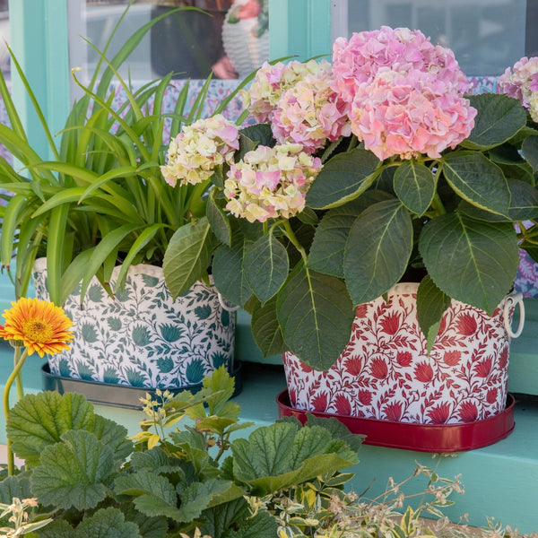 Metal garden planters, Handmade iron garden planters UK, Decorative iron planters for patios, English garden planters