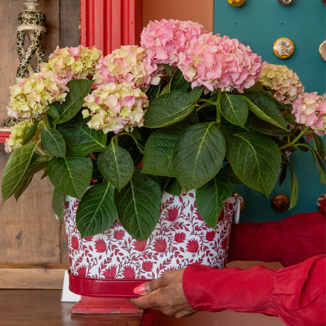 PETAL Tabletop Iron Planter & Tray Set