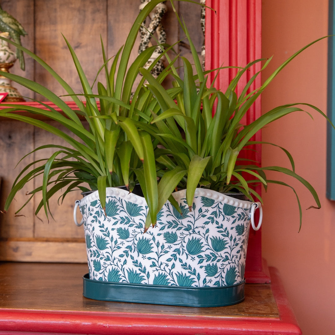 PETAL Tabletop Iron Planter & Tray Set